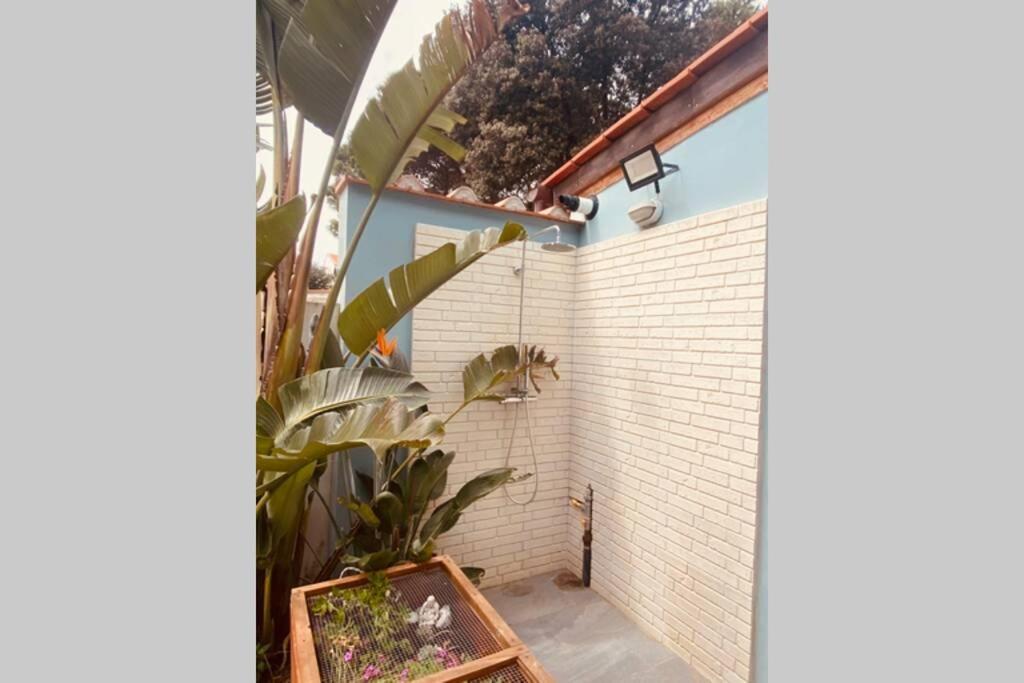Viareggina Con Giardino Apartment Marina Di Pisa Exterior photo