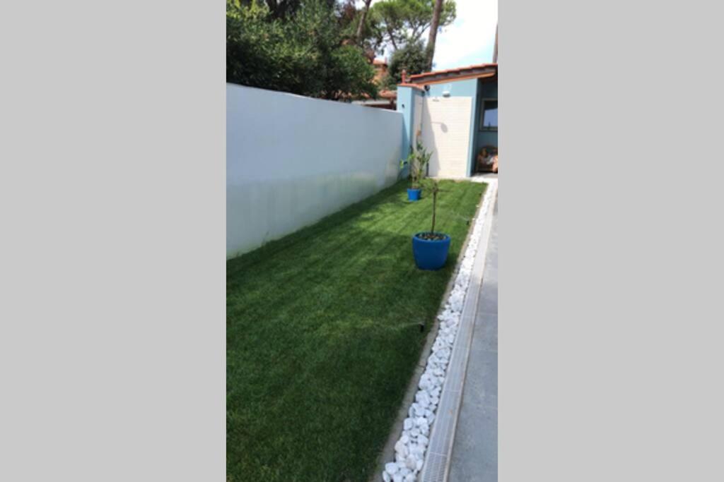 Viareggina Con Giardino Apartment Marina Di Pisa Exterior photo
